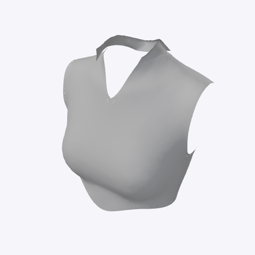 Sleeveless polo crop top