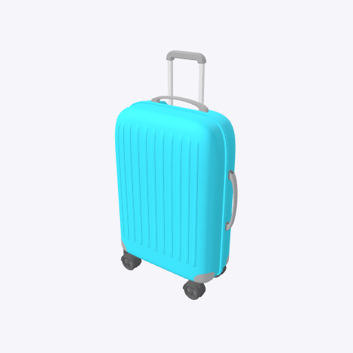sf suitcase